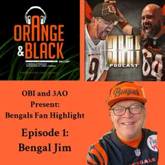 Cincy Jungle: For Cincinnati Bengals Fans