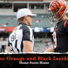 Bengals vs. Ravens pregame chat - Cincy Jungle