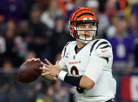 Bengals in fantasy football drafts open thread - Cincy Jungle