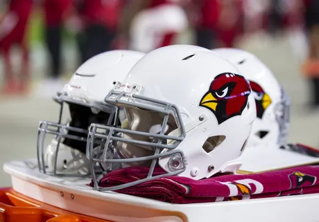 Arizona Cardinals cut punter Nolan Cooney - Revenge of the Birds