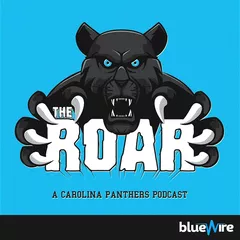 Carolina Panthers Game by Game Prediction Pre Training Camp Edition Part 3  of 4 - Cat Scratch Reader