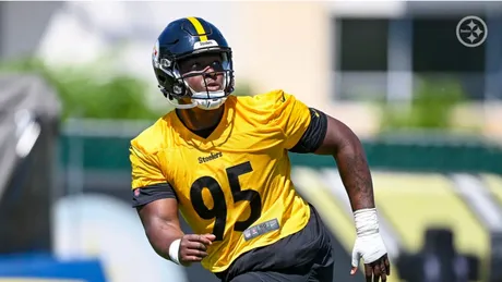 Steelers elevate P Wing to active roster with Harvin out, Sports