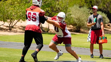 Arizona Cardinals Week 2 defensive snap counts, observations