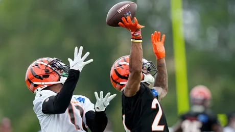 Bengals Roster: Realistic expectations for Markus Bailey in 2023