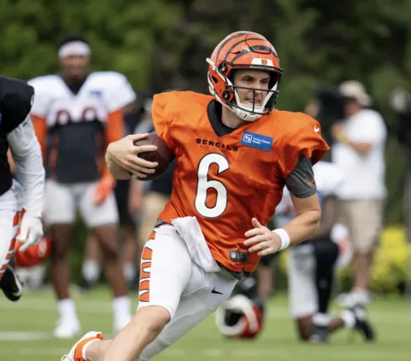 Cincinnati Bengals long snapper Cal Adomitis (48) during an NFL preseason  football game against the New