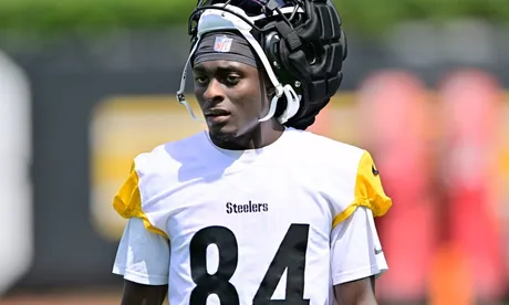 Steelers waive WR Dez Fitzpatrick - NBC Sports