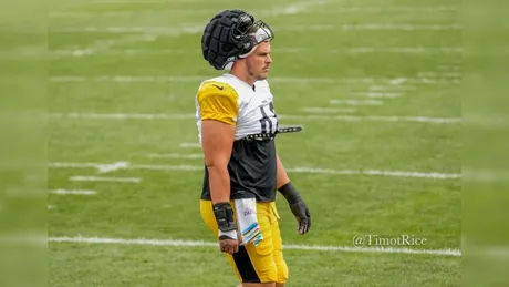 Steelers place Cam Heyward on IR, promote WR Dez Fitzpatrick from practice  squad