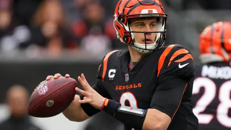 Cincinnati Bengals: Fantasy Football Preview – Bleav in The #1 Bengals  Podcast