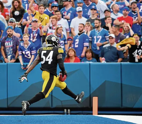 Cincinnati Bengals tight end Mitchell Wilcox (84) stands on the sideline  during an NFL football game against the Pittsburgh Steelers, Sunday, Sep.  11, 2022, in Cincinnati. (AP Photo/Kirk Irwin Stock Photo - Alamy