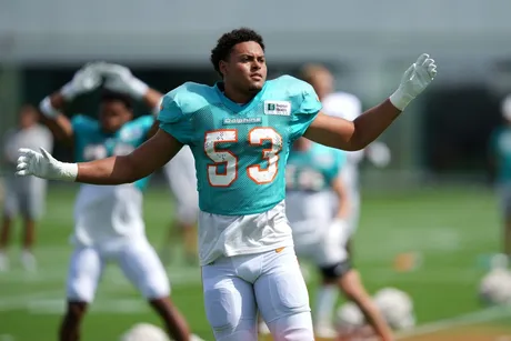 The 4 players that will dictate whether the Miami Dolphins win or lose on  Sunday and why Andrew Van Ginkel is key