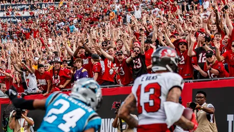 Panthers 10, Falcons 24: Turnovers doom Panthers in season opener - Cat  Scratch Reader