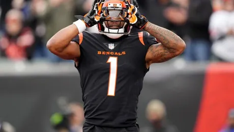 Are experts more surprised by Bengals or Browns performance in Week 1?