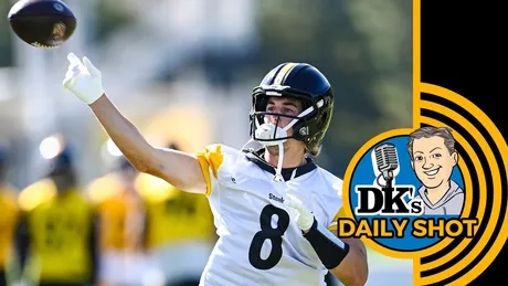 Steelers' Fitzpatrick claims the top spot in AP's NFL safety rankings, Sports