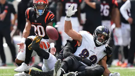 Ravens social media team trolls ESPN experts for picking Bengals to win