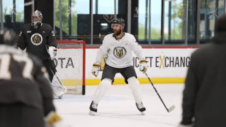 Stanley Cup: Brett Howden celebrating win in Oakbank