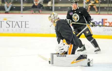 Dan's Daily: Fleury to Consider Retirement; Deciphering the Penguins