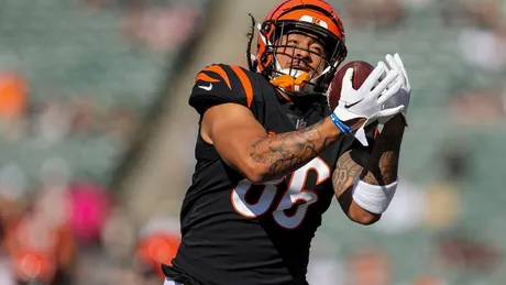 Bengals add Asiasi, Scharping, and Tufele 