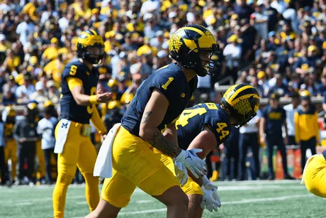 Michigan snap counts, PFF grades: Will Johnson receives heavy workload vs.  Rutgers 