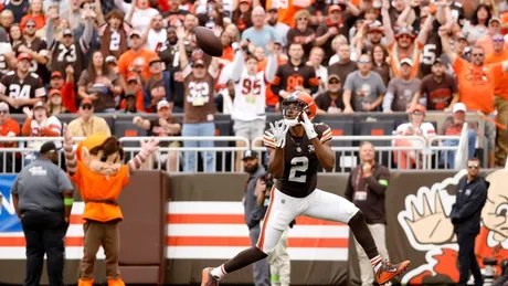 Browns fall to Bengals: Who gets the Brownies and Frownies this week? -  Dawgs By Nature