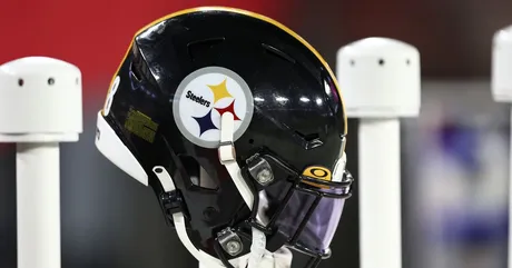 Steelers waive WR Dez Fitzpatrick - NBC Sports