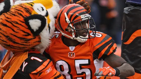 Former Bengals wide receiver leaves generous tip at Cincinnati restaurant