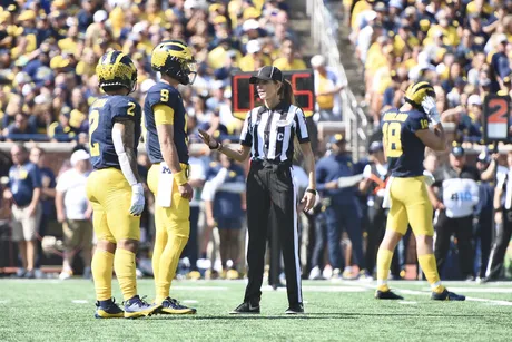 Michigan snap counts, PFF grades: Will Johnson receives heavy workload vs.  Rutgers 