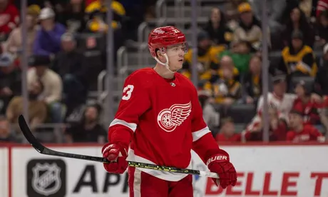 Red Wings Release 2022 Training Camp Roster and Daily Schedule - Ilitch  Companies News Hub