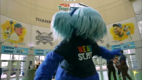 Tampa Bay Devil Rays Mascot Costume