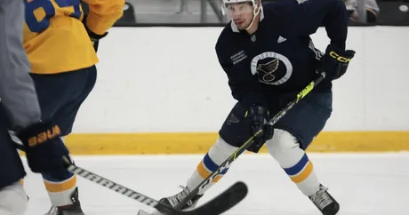 St. Louis Blues open training camp with eye on bounceback season, more  physicality