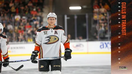 Anaheim Ducks to Play Arizona Coyotes in NHL Preseason Game at Acrisure  Arena – Acrisure Arena