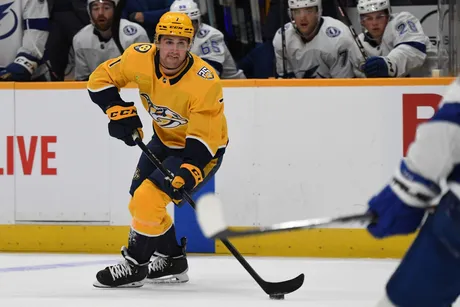 Nashville Predators center Thomas Novak (82) plays against the Boston  Bruins during the first period of an NHL hockey game Thursday, Dec. 2,  2021, in Nashville, Tenn. (AP Photo/Mark Zaleski Stock Photo - Alamy