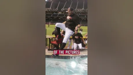 Diamondbacks' Tommy Pham Calls Out Fan on Social Media After Heated  Exchange on Video, News, Scores, Highlights, Stats, and Rumors