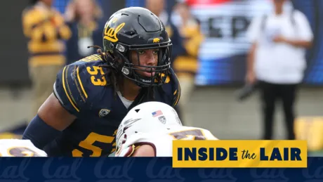 California Golden Bears News - College Football