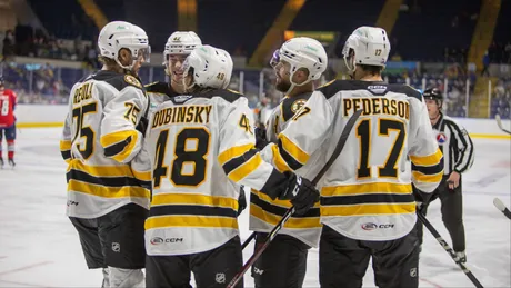 Providence Bruins to kick off 2022 playoffs on Monday night against  Bridgeport - Stanley Cup of Chowder