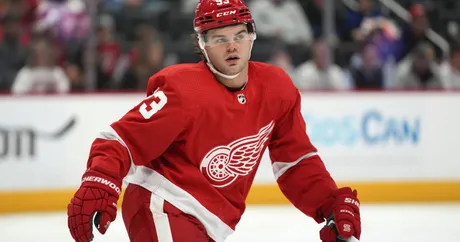 Red Wings reduce roster to 23  Detroit Red Wings : r/DetroitRedWings