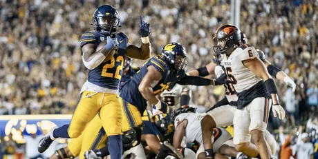 Pro Bears NFL Week 1 - California Golden Bears Athletics