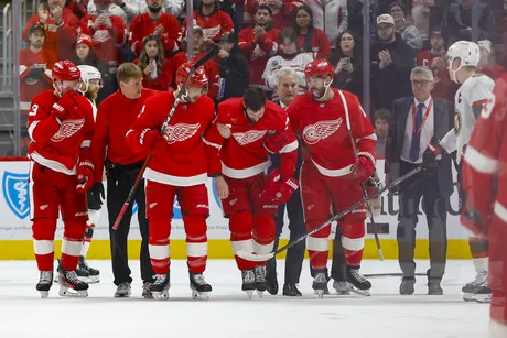 Red Wings forward David Perron suspended 6 games for cross-check on  Ottawa's Artem Zub - The Morning Sun