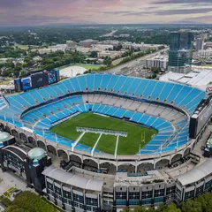 Panthers 2022 Bye Week Review: Offense - Cat Scratch Reader